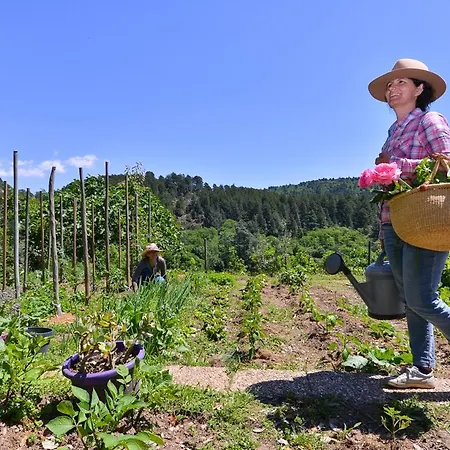Logis Restaurant Le Chene Ξενοδοχείο 3*
