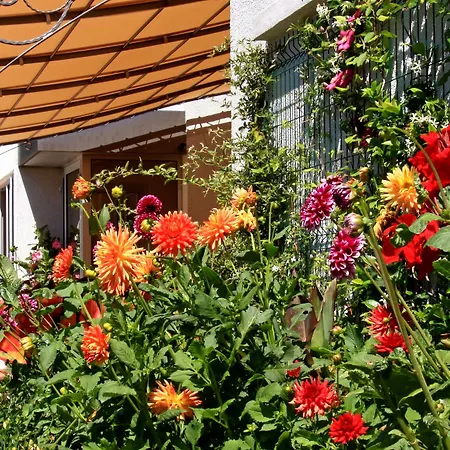Le Chêne Hotel 3*